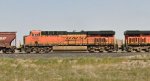 BNSF 7929